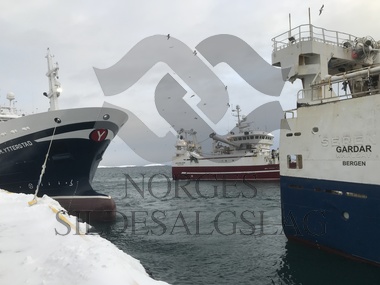 Lossekø M.Ytterstad, Gardar, Havstål