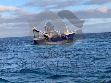 Hillersøy på silda 2019