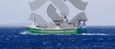 Smaragd på vei til kolmulefeltet