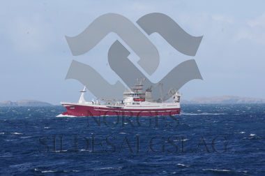 Smaragd og Leikvin kolmule