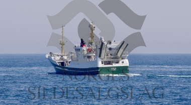 X Hargun på nordsjøsild