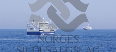 Kings Bay på nordsjøsild 2019