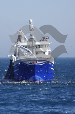 FIskeskjer på nordsøsild 2019