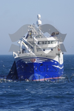 Fiskeskjer på nordsjøsild 2019