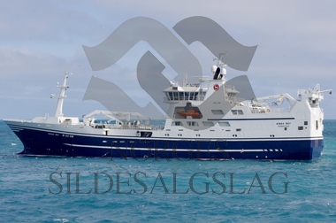 Kings Bay på nordsjsild 2019