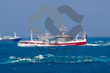 X Vestviking på nordsjøsild 2019