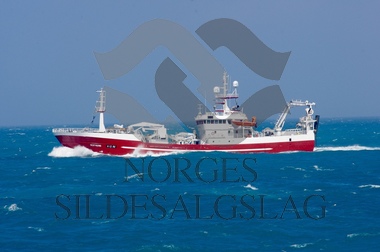 X Vestviking på nordsjsild 2019