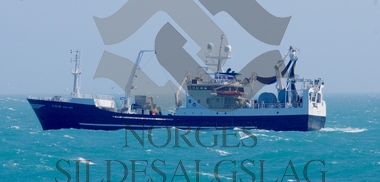 X Gerda Marie på nordsjøsild 2019