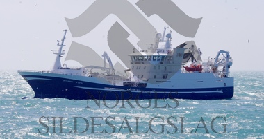 Østerbris på Nordsjøsild 2019