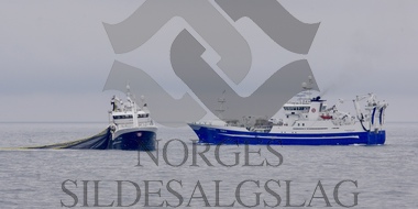 Sæbjørn med kast og Fiskeskjer