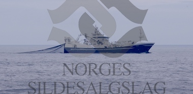 Nordsjøsild 2019