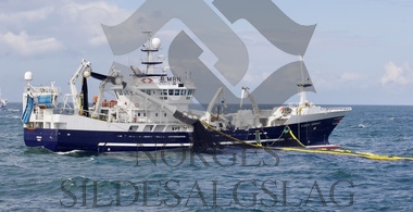 X Hardhaus med kast Nordsjøsild 2019