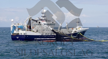 X Hardhaus med kast, Nordsjøsild 2019