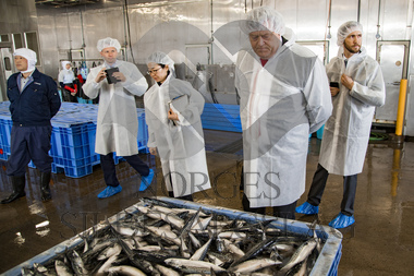 makrell i japan, lager fabrikk