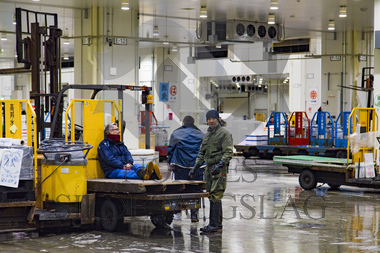 makrell i japan, lager fabrikk