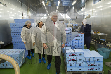 makrell i japan, lager fabrikk