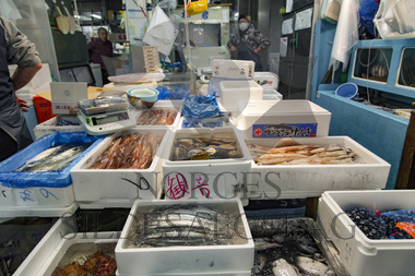 makrell i japan, lager fabrikk