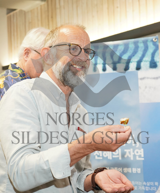 Knut Torgnes i Japan