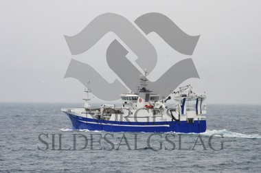 nordsjøsild 2019 Fiskeskjer