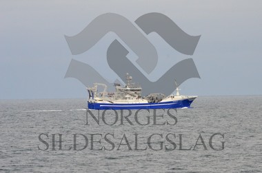 nordsjøsild 2019 Fiskeskjer