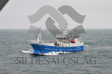 nordsjøsild 2019 Skagøysund