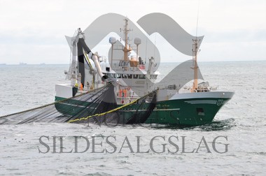 nordsjøsild 2019 Røttingøy