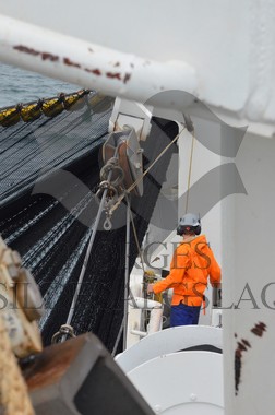 nordsjøsild 2019  Strand Senior fiskere 