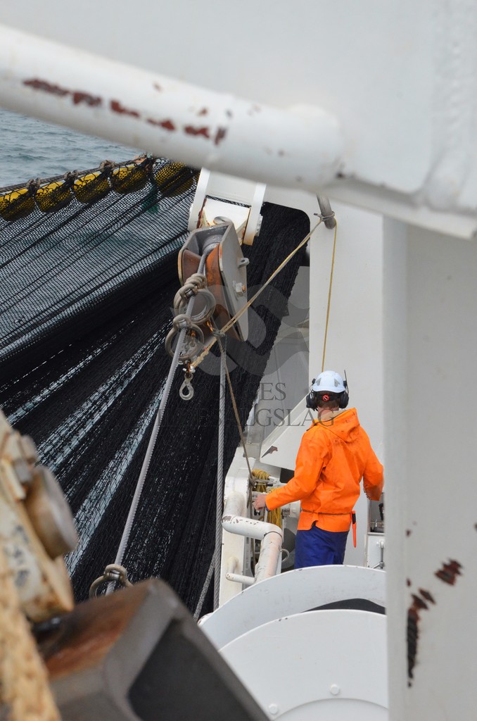 nordsjøsild 2019  Strand Senior fiskere 