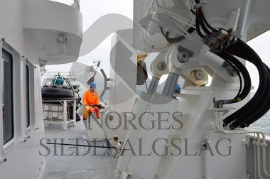 nordsjøsild 2019  Strand Senior fiskere 