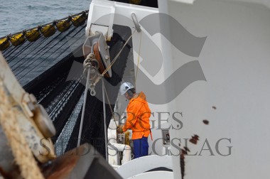 nordsjøsild 2019  Strand Senior fiskere 