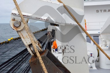 nordsjøsild 2019  Strand Senior fiskere 