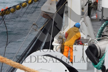 nordsjøsild 2019  Strand Senior fiskere 