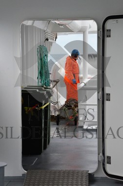 nordsjøsild 2019  Strand Senior fiskere 