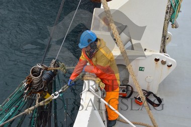 nordsjøsild 2019  Strand Senior fiskere 