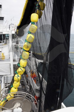 nordsjøsild 2019  Strand Senior fiskere 