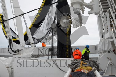nordsjøsild 2019  Strand Senior fiskere 