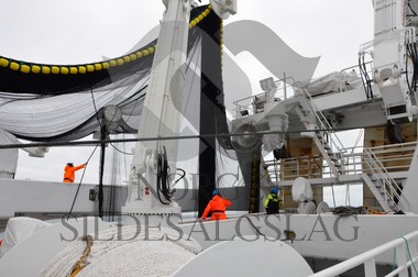 nordsjøsild 2019  Strand Senior fiskere 