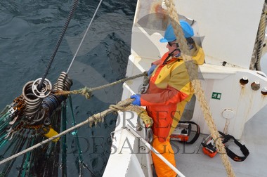 nordsjøsild 2019  Strand Senior fiskere 