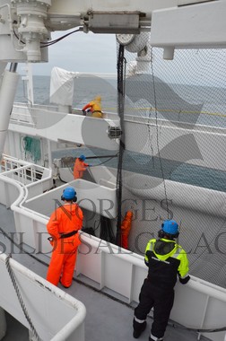 nordsjøsild 2019  Strand Senior fiskere 