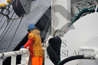 nordsjøsild 2019  Strand Senior fiskere 