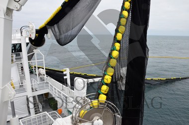 nordsjøsild 2019 not