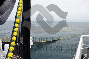 nordsjøsild 2019 not