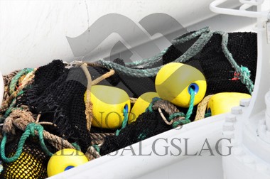 nordsjøsild 2019 not