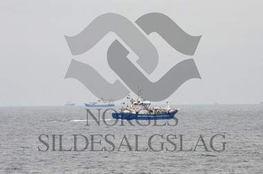 nordsjøsild 2019 fonnes