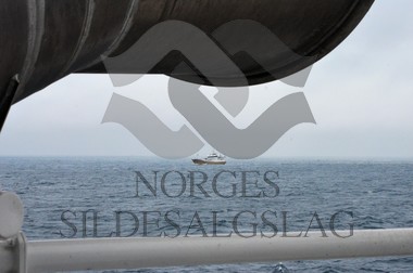nordsjøsild 2019 X teigenes