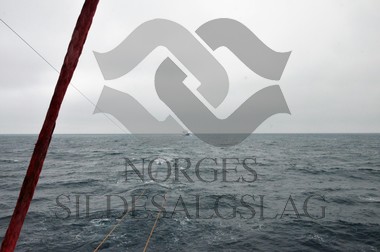 nordsjøsild 2019 fiskeskjer trål