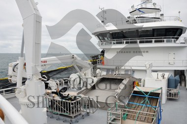 nordsjøsild 2019 strand senior på feltet