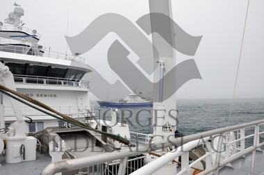 nordsjøsild 2019 strand senior på feltet