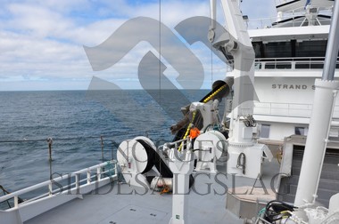 nordsjøsild 2019 strand senior på feltet