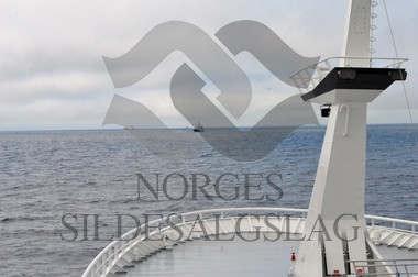 nordsjøsild 2019 strand senior på feltet